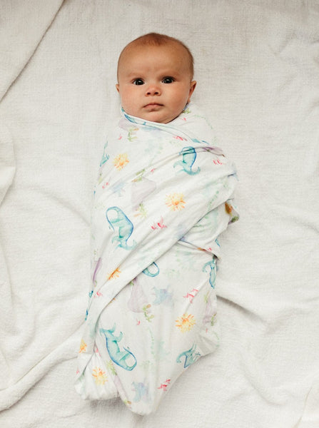 We Are The Dinosaurs Swaddle (47