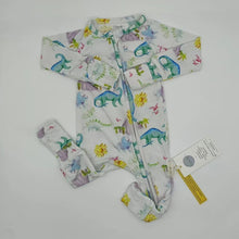 Load image into Gallery viewer, We Are The Dinosaurs Bamboo Pajamas
